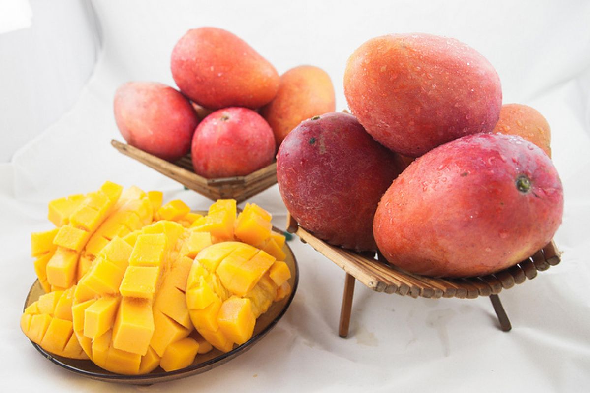 De ce sa iubesti fructul de mango